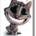 snap adlı kullanıcı